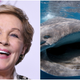 Illustration for article titled Hell yeah, Julie Andrews is voicing a big fish for iAquaman/iem/emem/em